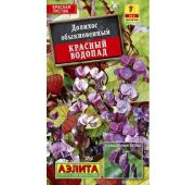 Цветы Долихос Красный Водопад (Аэлита)