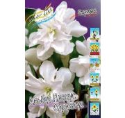 Нарцисс Альбус Пленус Одоратус махр. 1шт.