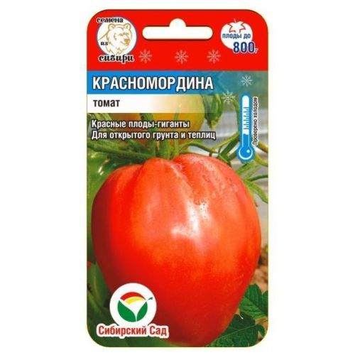 Томат Красномордина (СС)