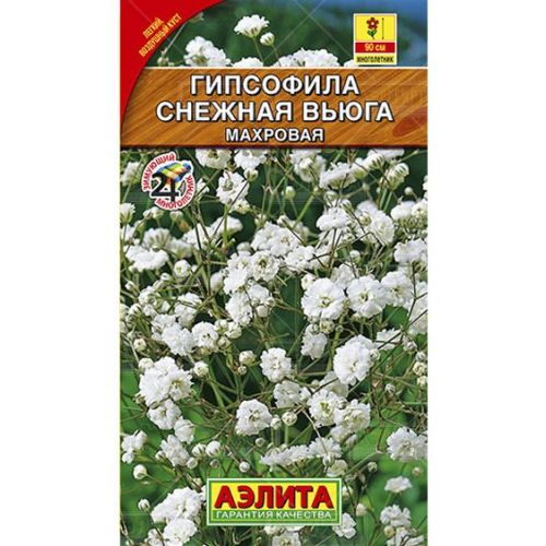 Цветы Гипсофила Снежная вьюга (Аэлита)