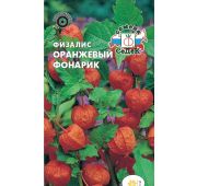Цветы Физалис Оранжевый Фонарик (Седек)