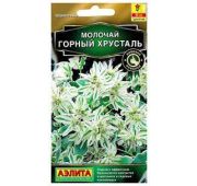 Цветы Молочай Горный хрусталь (Аэлита)