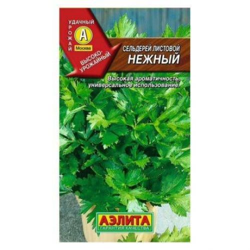 Сельдерей листовой Нежный (Аэлита)