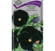 Цветы Виола Черный король(Поиск)