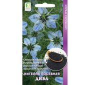 Цветы Нигелла Дива посевная (Поиск)