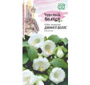 Цветы Кобея Джингл Беллс (Гавриш)