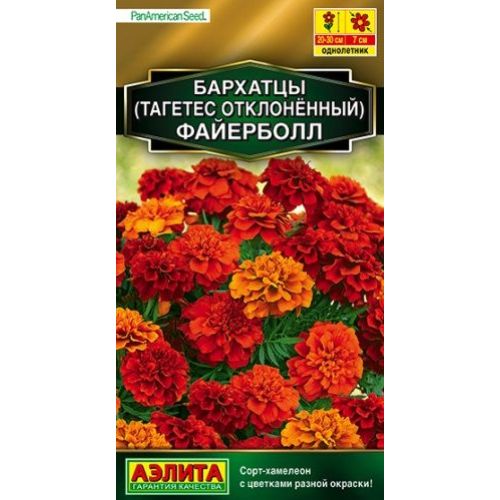 Цветы Бархатцы Файерболл (Аэлита)