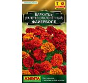 Цветы Бархатцы Файерболл (Аэлита)