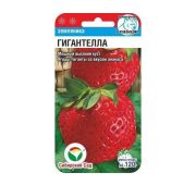 Земляника Гигантелла (СС)