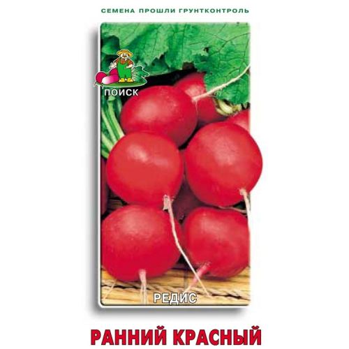 Редис Ранний красный  (Поиск)