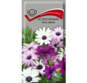 Цветы Остеоспермум смесь (Поиск)