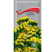 Цветы Статица Суприм желтая (Поиск)
