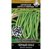 Фасоль Черный Опал (Поиск)