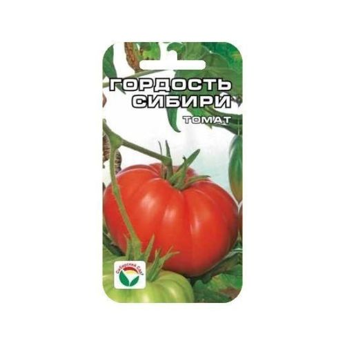 Томат Гордость Сибири (СС)