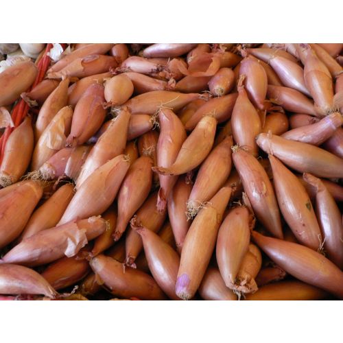 Лук-Шалот Сережа 1кг