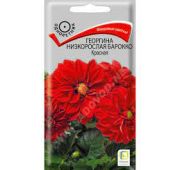 Цветы Георгина Барокко Красная (Поиск)