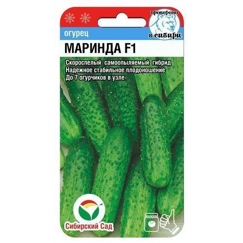 Огурцы миринда описание сорта фото Огурцы миринда описание сорта фото