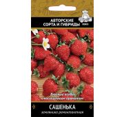 Земляника Сашенька (Поиск)