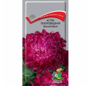 Цветы Астра Красная башня (Поиск)