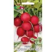 Редис Краса Алтая (Поиск)