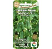 Огурец Северный Поток (СС)