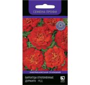 Цветы Бархатцы Дюранго ред (Поиск)