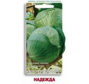 Капуста Надежда (Поиск)