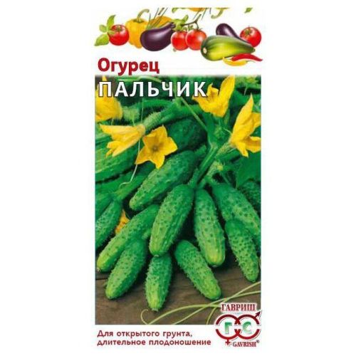 Огурец пальчик фото Огурец пальчик фото