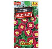 Цветы Вьюнок Алое знамя (Аэлита)