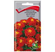 Цветы Бархатцы Аура красная махр(Поиск)