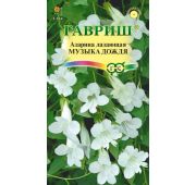 Цветы Азарина Музыка дождя (Гавриш)