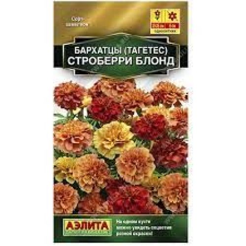 Цветы Бархатцы Строберри Блонд  (Аэлита)