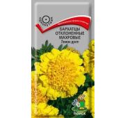 Цветы Бархатцы Лемон Дроп (Поиск)