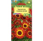 Цветы Хризантема Танец Огня (Гавриш)
