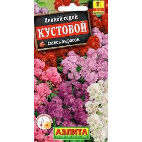 Цветы Левкой Кустовой смесь (Аэлита)