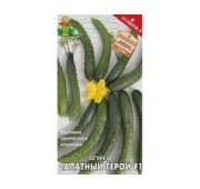 Огурец Салатный Герой (Поиск)