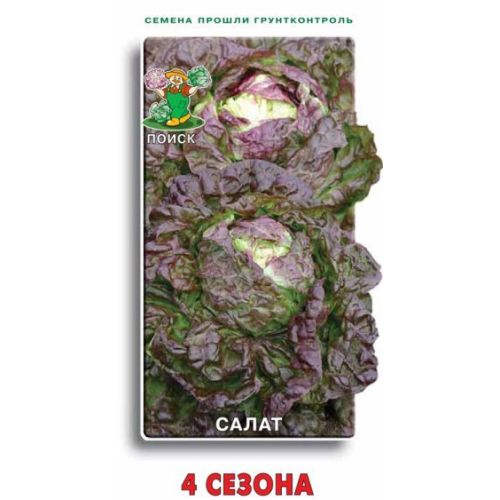 Салат 4 сезона (Поиск)