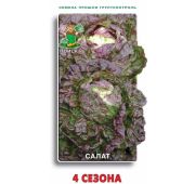 Салат 4 сезона (Поиск)
