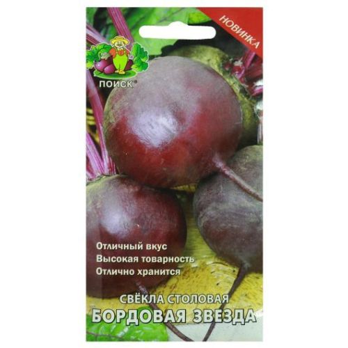 Свекла Бордовая звезда (Поиск)