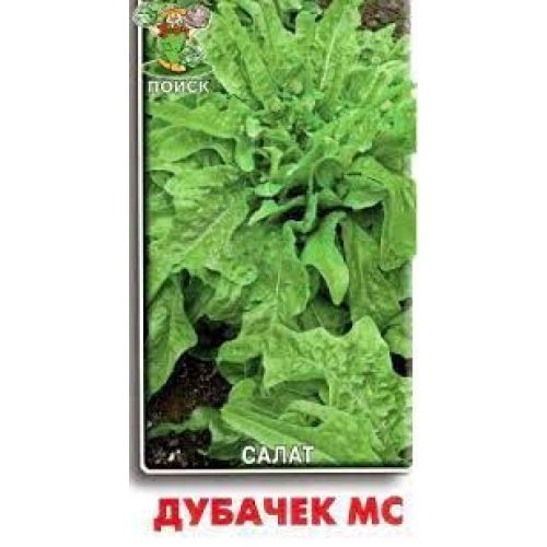 Салат Дубачек (Поиск)