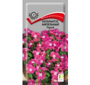 Цветы Катарантус Персей (Поиск)