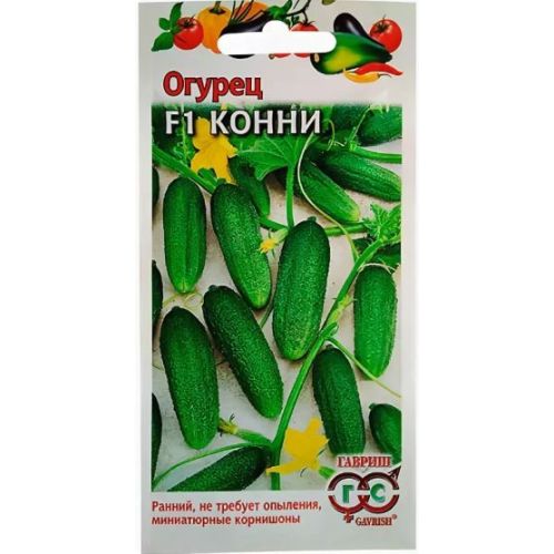 Огурец конни фото Огурец конни фото