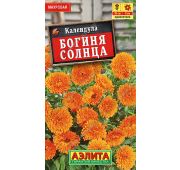 Цветы Календула Богиня Солнца (Аэлита)