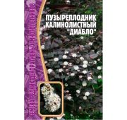 Цветы Пузыреплодник калинолистный Диабло (РО)