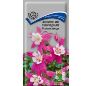 Цветы Аквилегия Розовая звезда (Поиск)