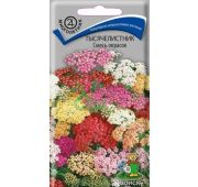Цветы Тысячелистник смесь(Поиск)