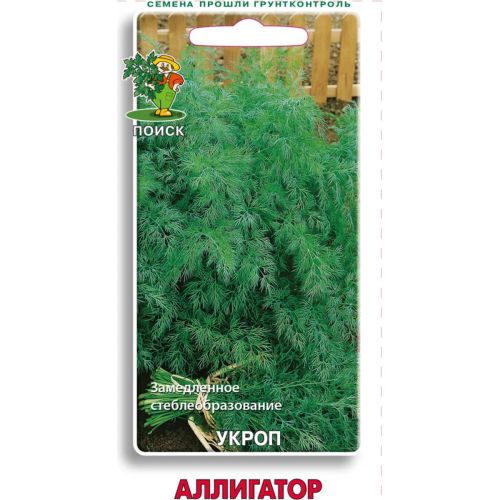 Укроп Аллигатор (Поиск)
