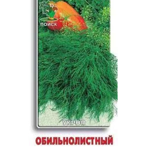Укроп Обильнолиственный (Поиск)