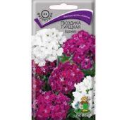 Цветы Гвоздика тур.Адажио (Поиск)