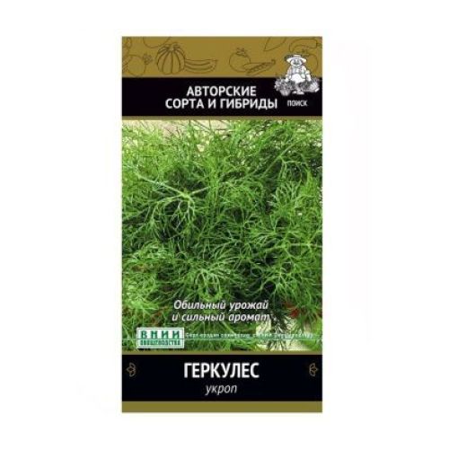 Укроп Геркулес (Поиск)